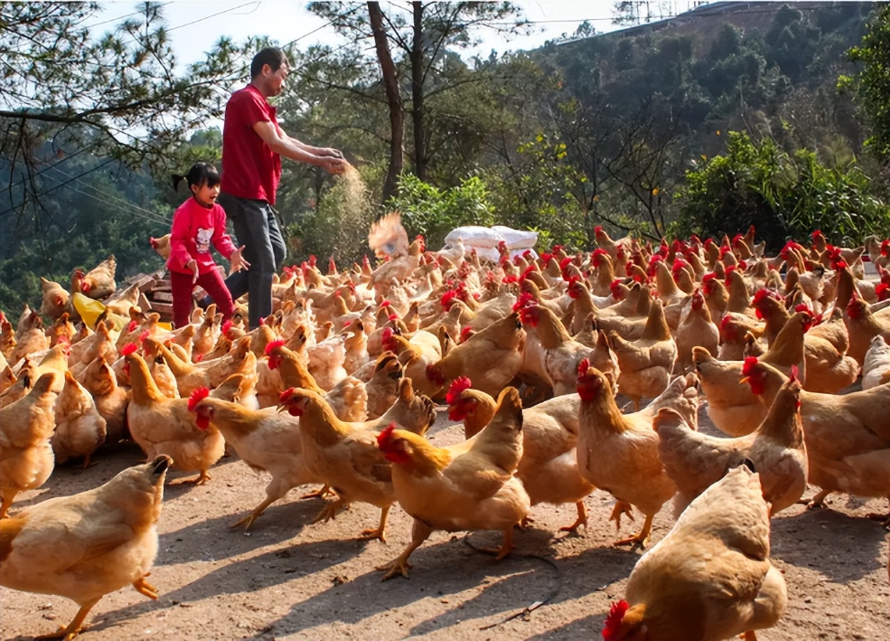 农村赚钱的小生意有哪些,农村一年四季都能挣钱的小生意