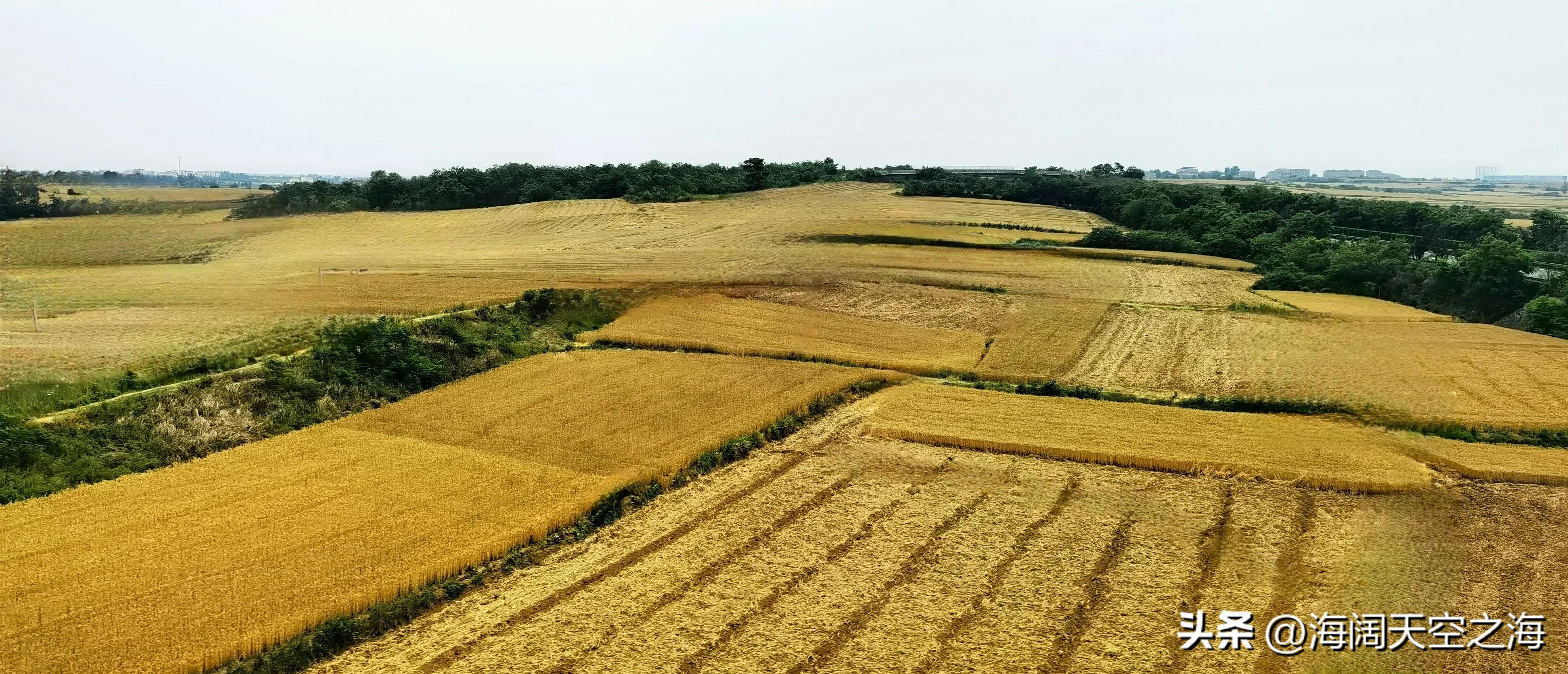 风吹麦浪完整版,风吹麦浪