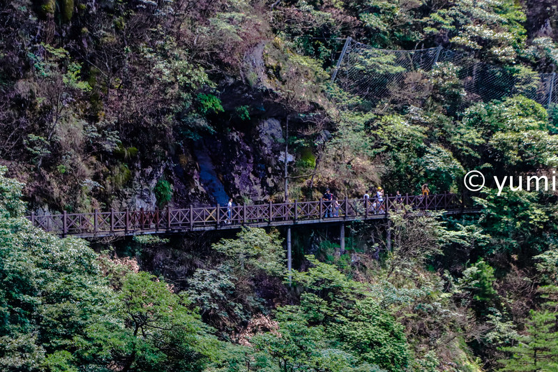 武功山的云中草原,武功山旅游攻略雪景