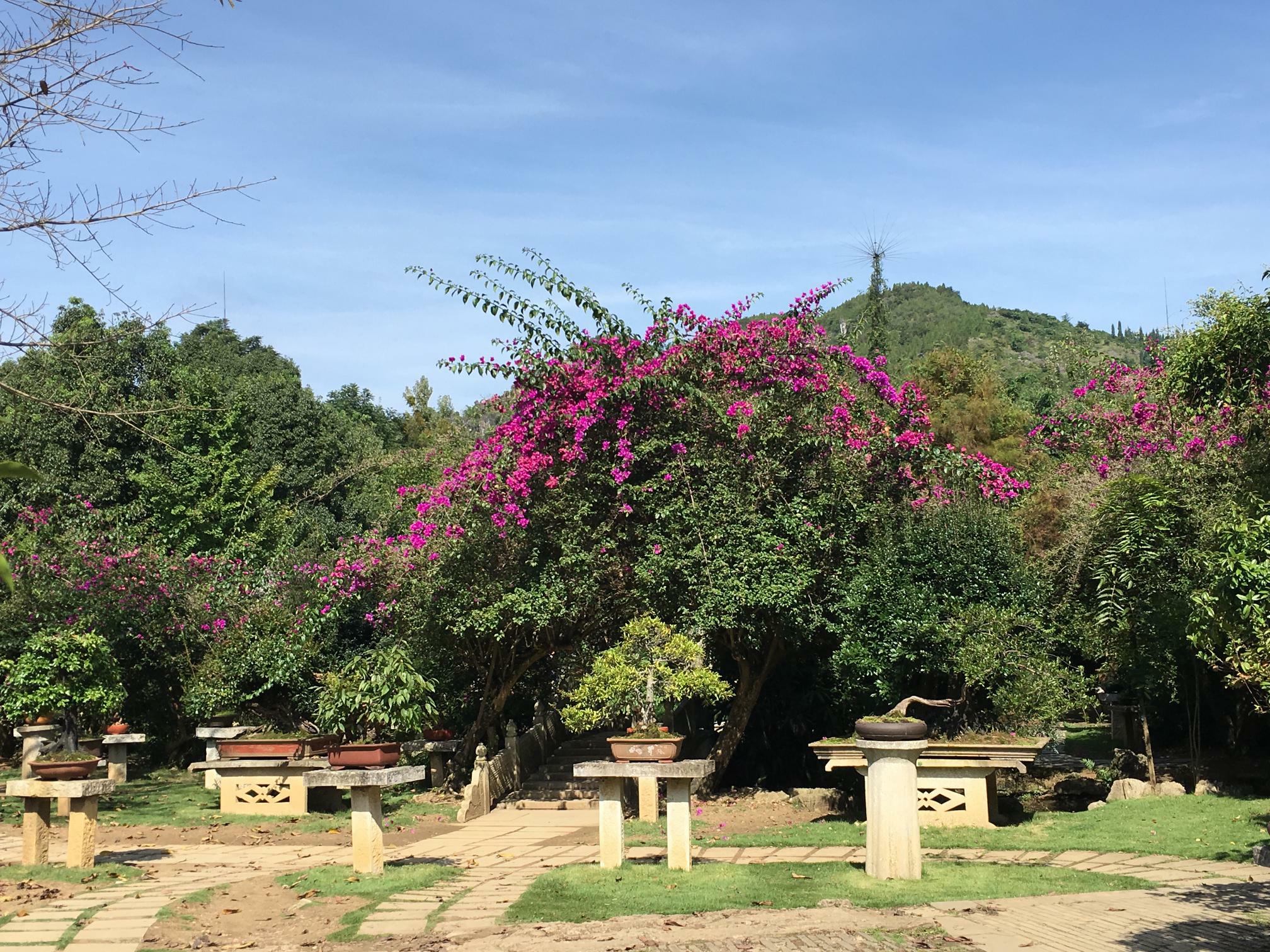 南宁自驾到贵州黄果树景区,贵州黄果树滴水滩瀑布景区