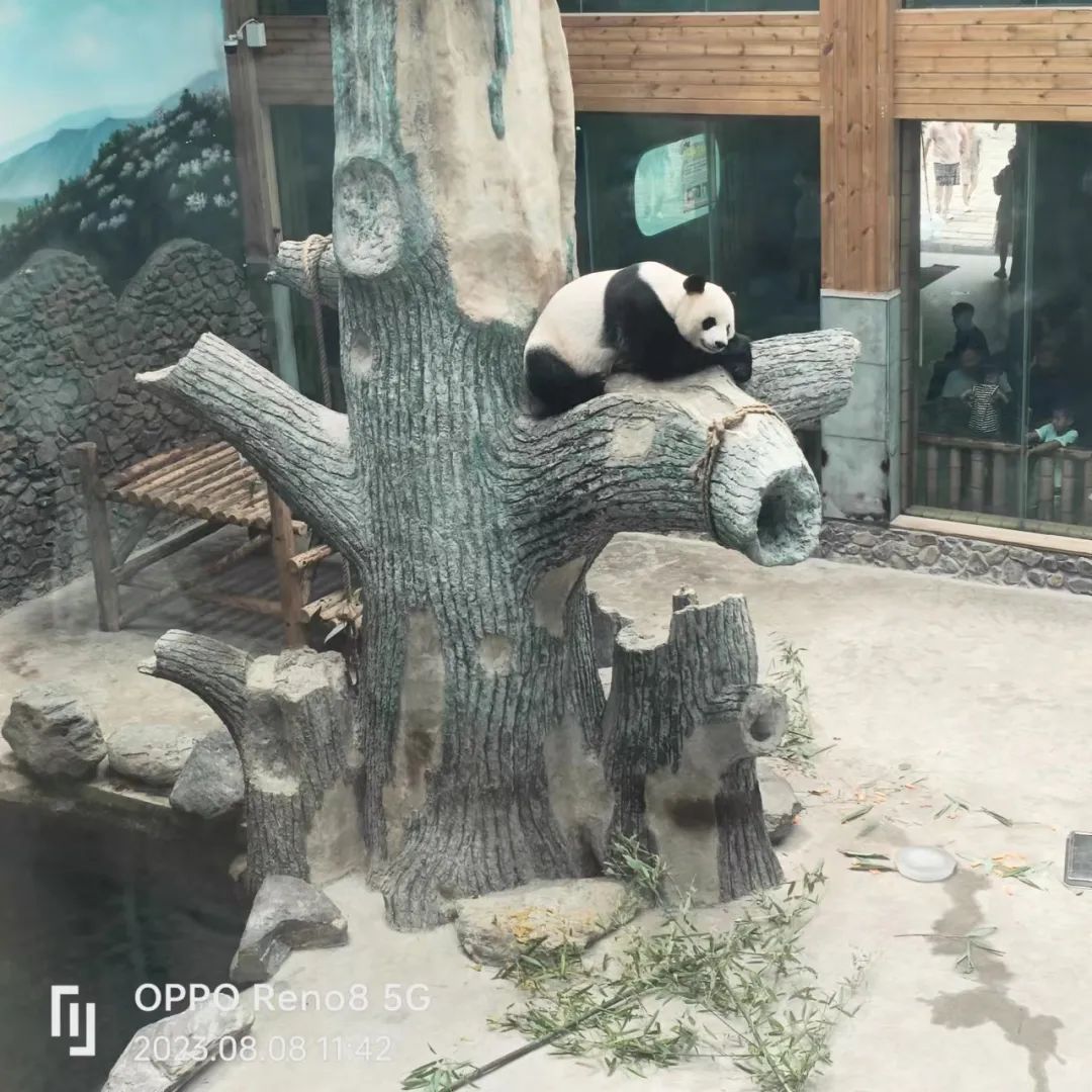 月薪20000住不起汉庭,月薪2万住不起汉庭如家火吗