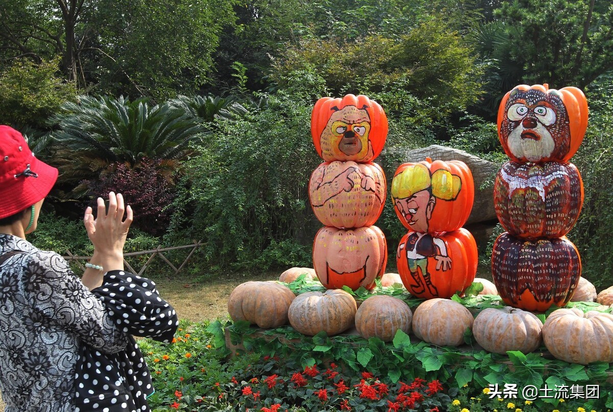 农家乐怎么做宣传推广方案策划,农家乐的广告怎样做才能火