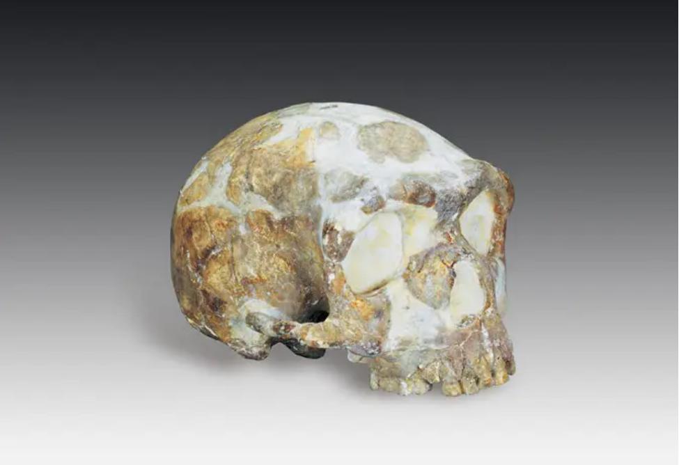 胆小莫入的人有多可怕,胆小勿进眼见不一定为实