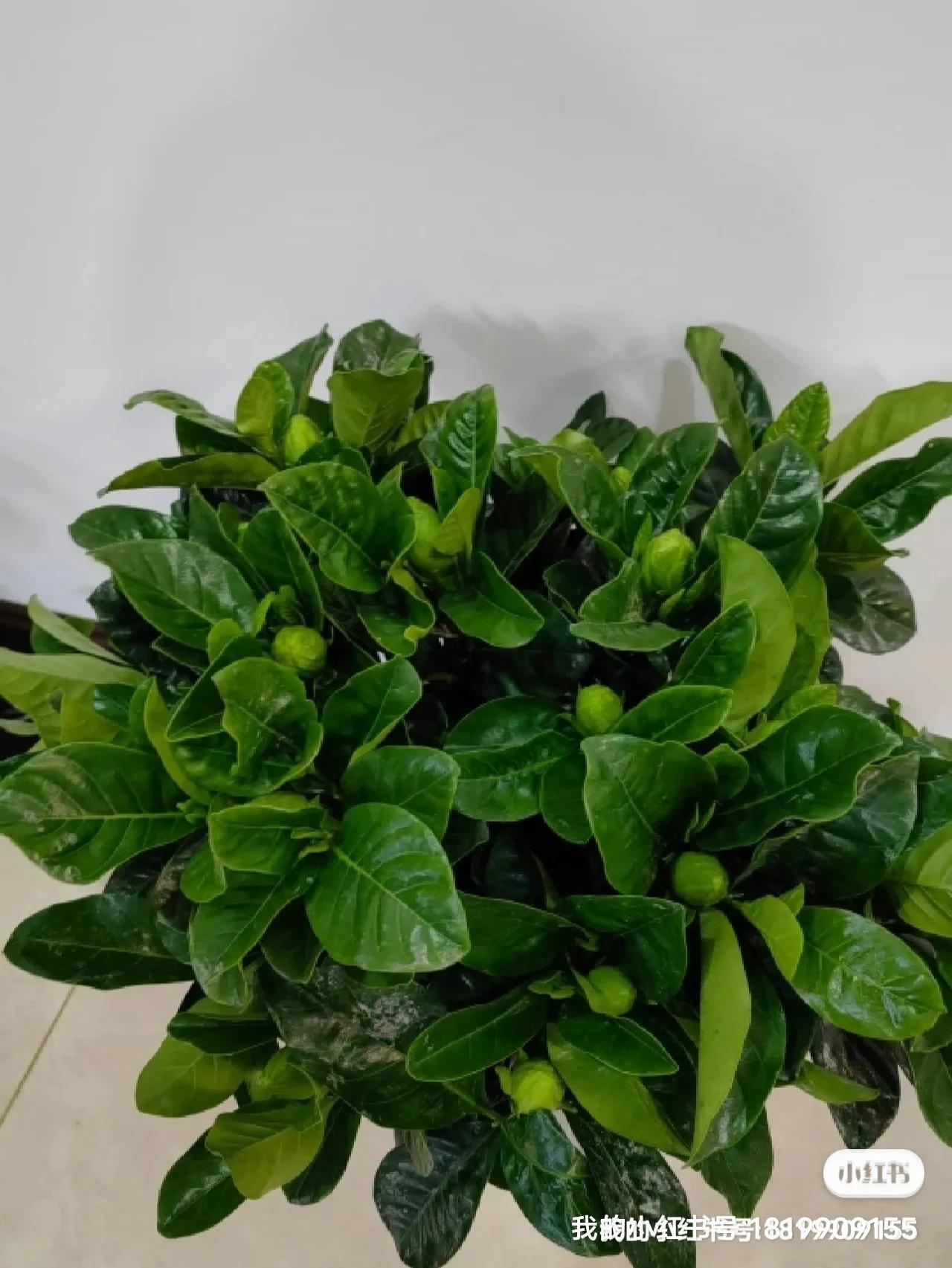 销售砂石料所得税如何征收,销售砂石需要交矿产资源税吗