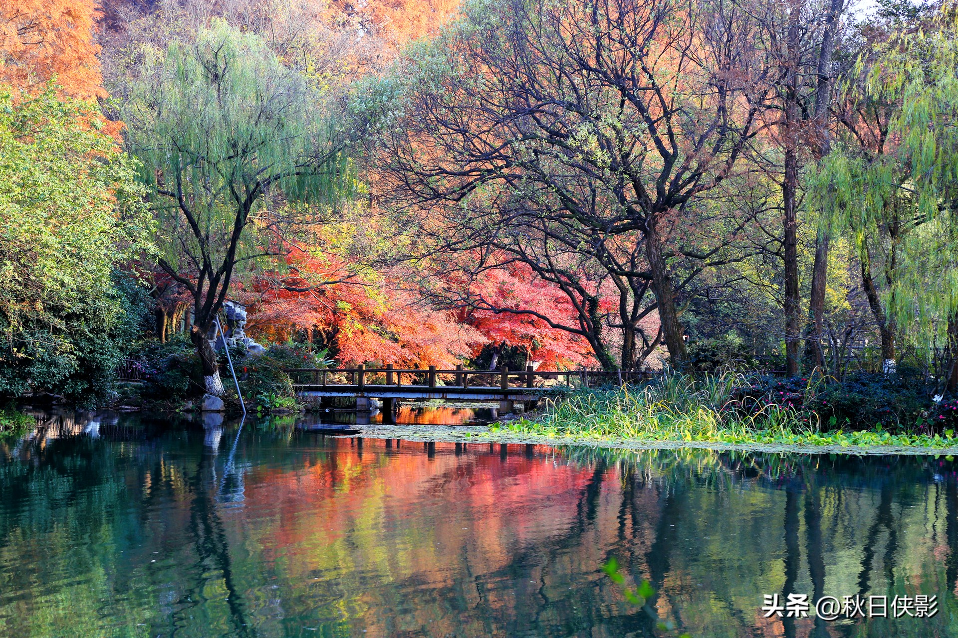 杭州秋天看枫叶最佳地点,杭州进入最佳赏枫季