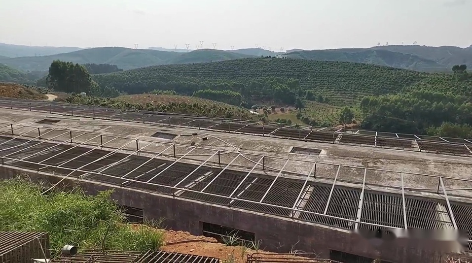 故意卡美国脖子？日本媒体：中国停止出口，美国实验猴贵了15倍