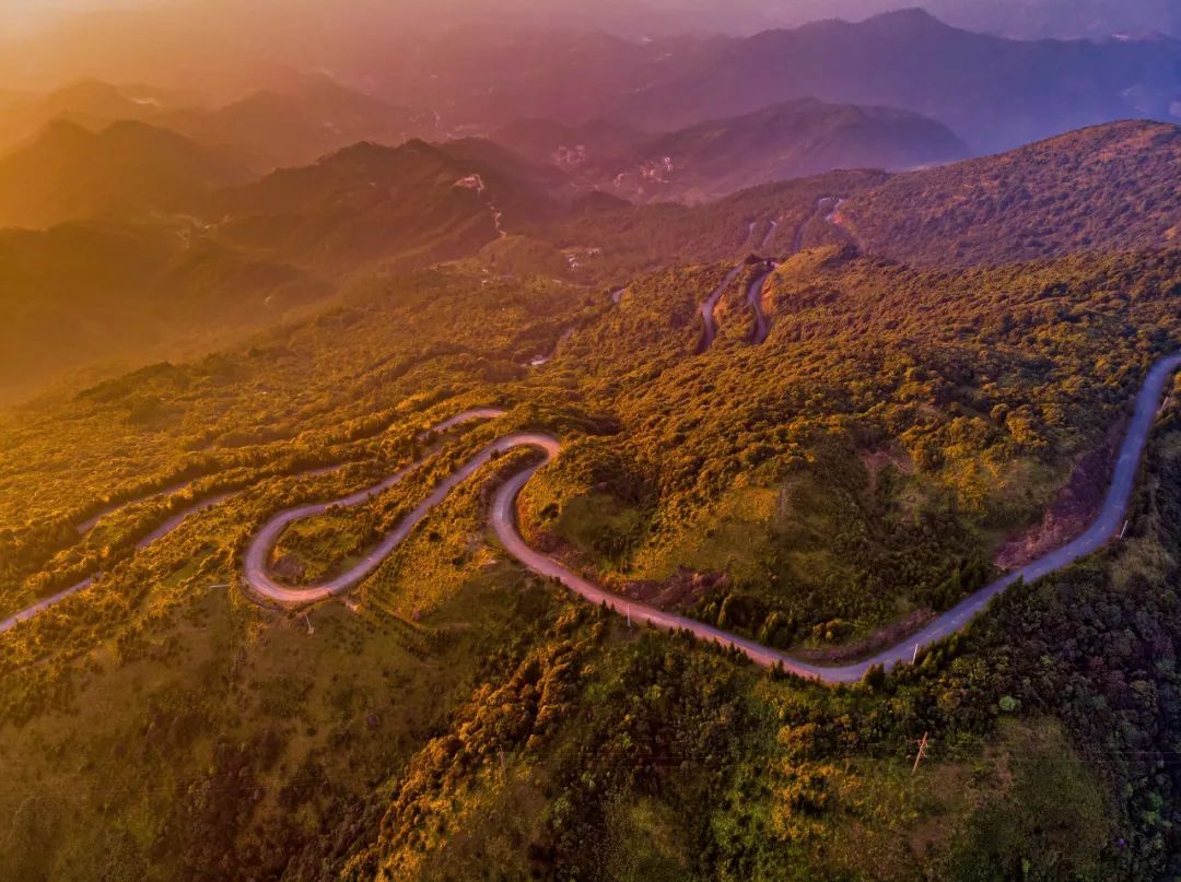 美食之都潮汕,广东茂名的特色美食水果