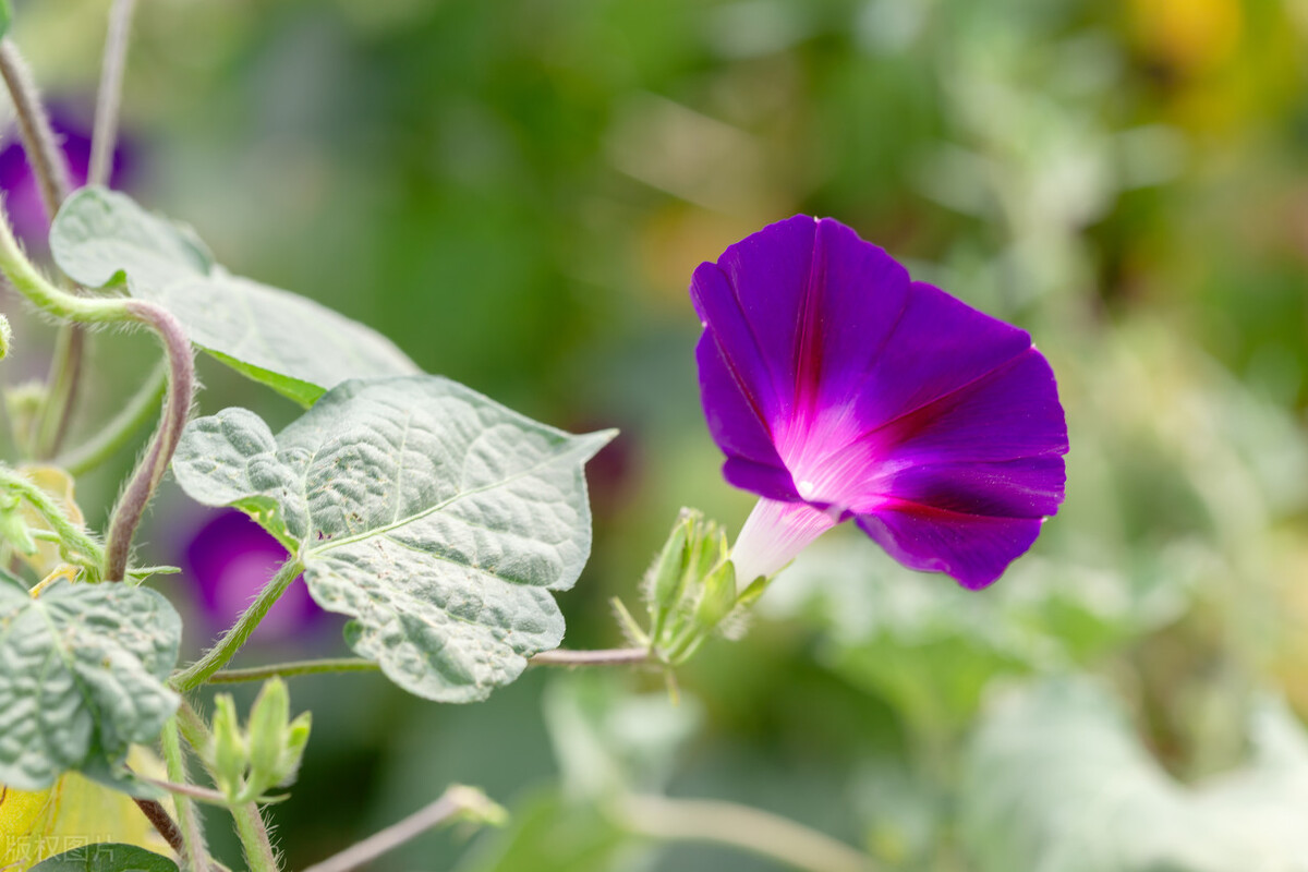决定一个人能赚多少钱的因素,如何判断一个人能赚到钱