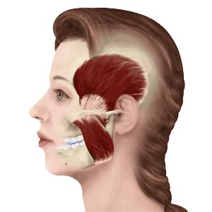 发腮和塌腮哪个更显老,发腮真的显老吗