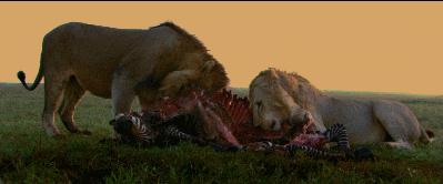 法国版「人肉叉烧包」，尺度逆天