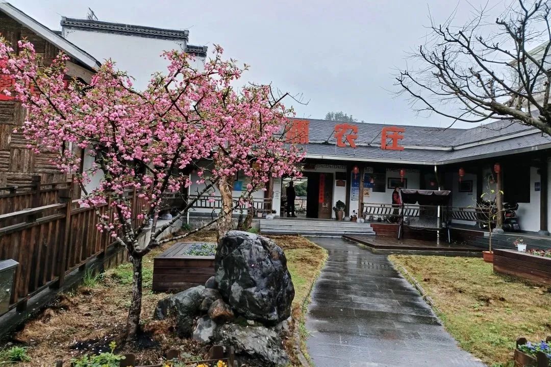 古徽州徽文化旅游攻略,徽州自由行旅游攻略最新