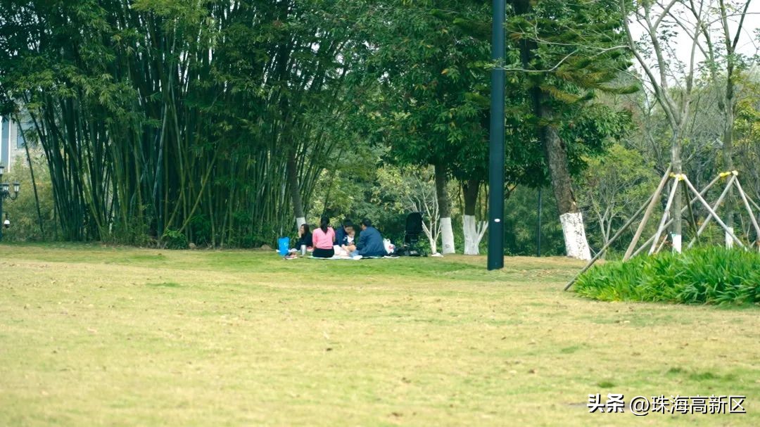 遛娃必看！这些春日色彩，就藏在高新区的公园里…