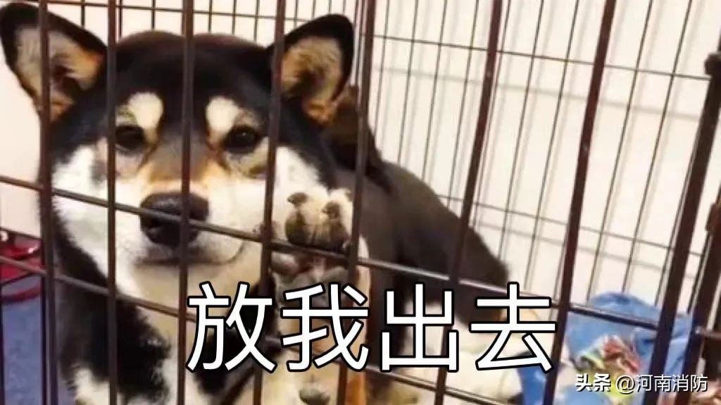 八旬老农随手一“弹”引发大火！检察院：建议有期徒刑3年