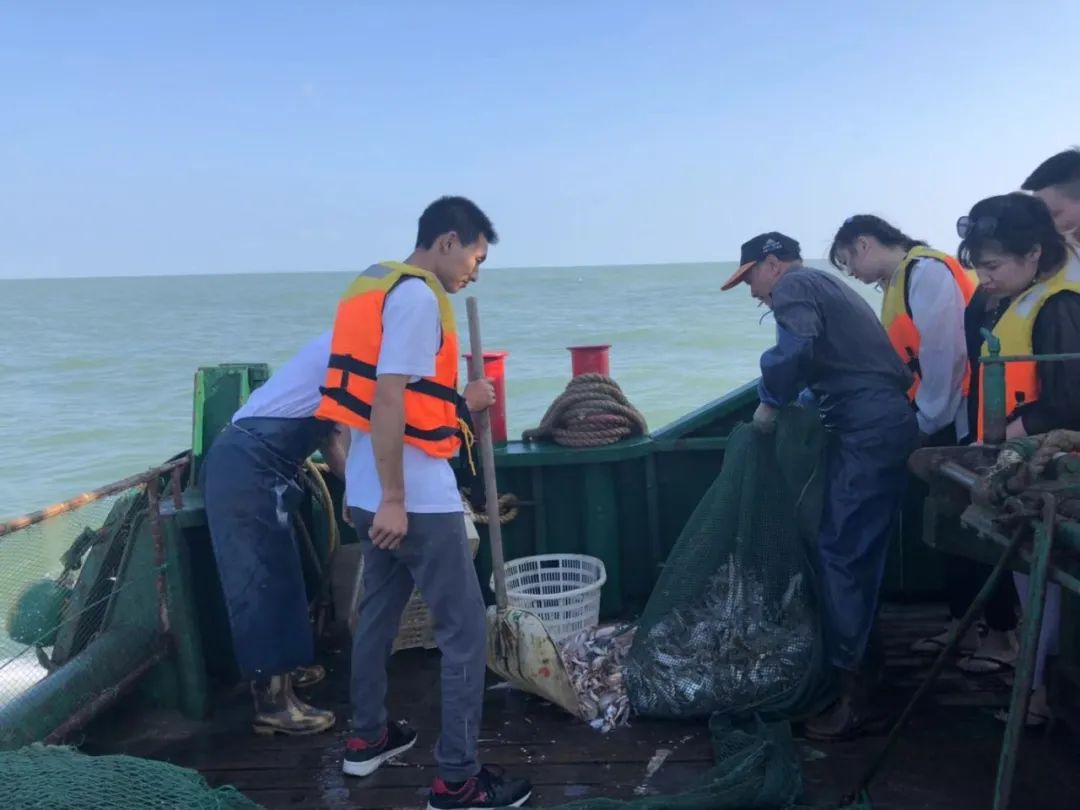 值得去的团建拓展推荐,团建最火的十个优雅项目