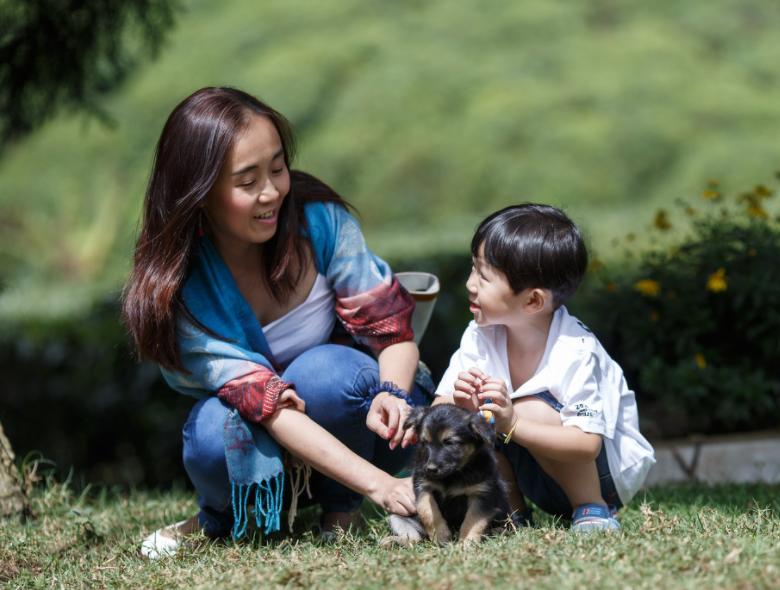 孩子碰到隐翅虫应该怎么处理,隐翅虫落在宝宝身上怎么办