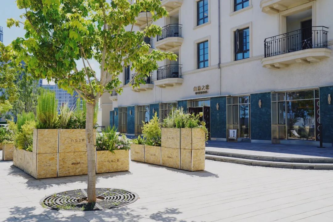 10步就有一家！时髦小店密度这么高的地方，全中国我找不出第二个