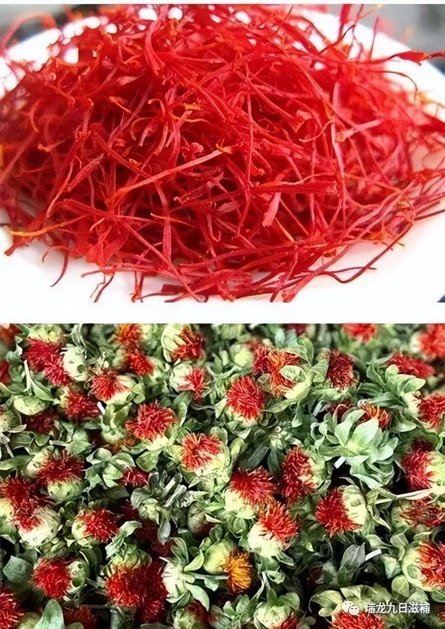 武则天的养颜秘笈——藏红花（功效、食用方法、真假鉴别）