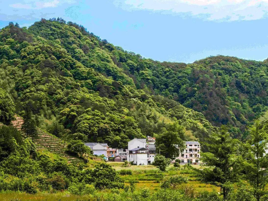 安徽大山深处的古村落美女,安徽富硒村旅游攻略