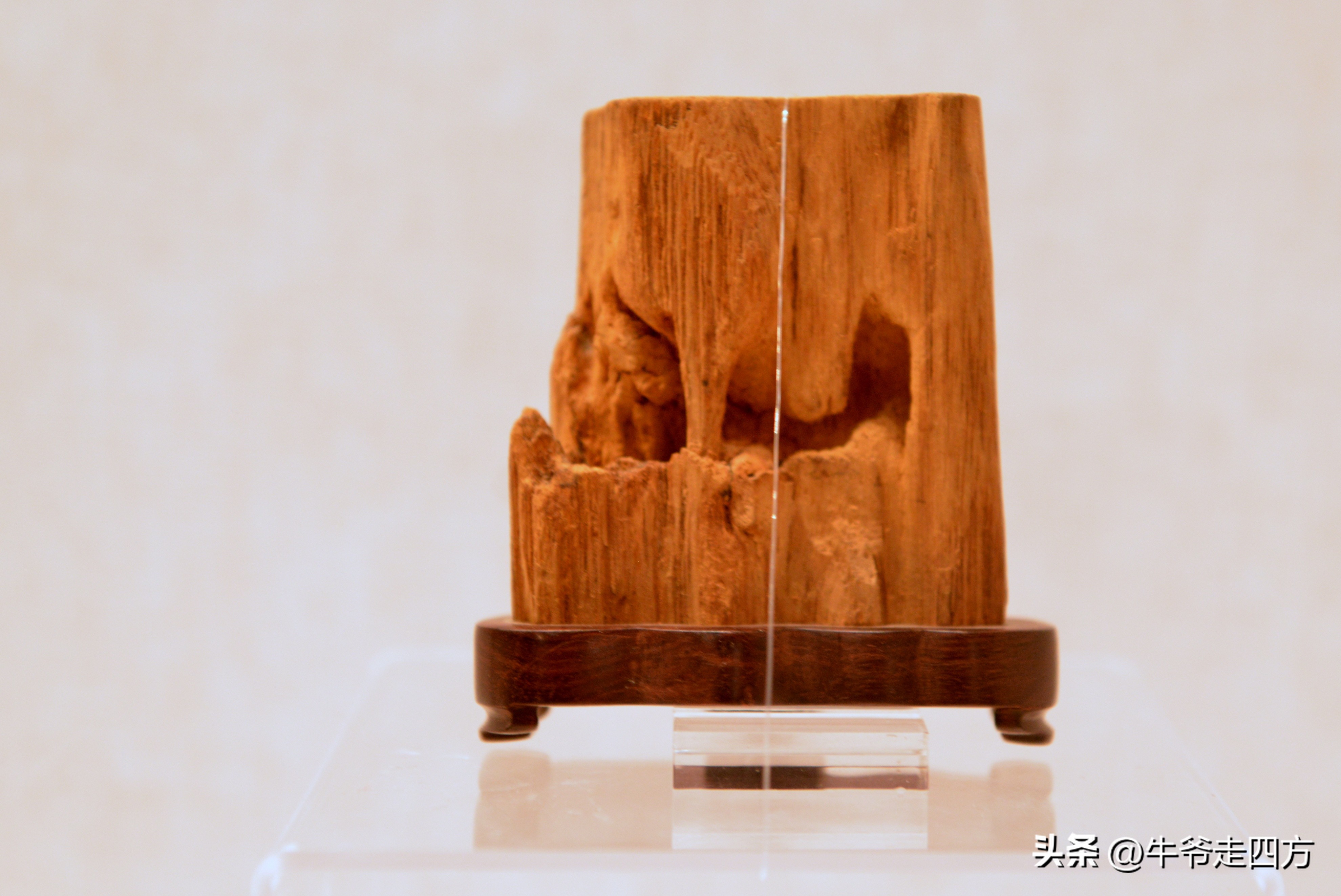 鍖椾含閲戠煶鍗氱墿棣嗗簡浜戝闂ㄧエ,閲戠煶鍗氱墿棣嗗簡浜戝