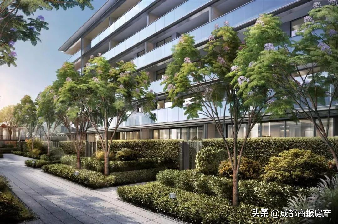 热门项目云集！一站式买入锦江区就趁现在