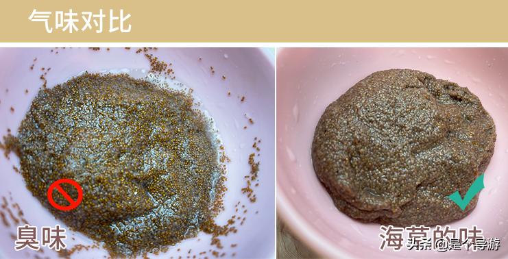 海藻面膜海藻是哪儿来的,海藻面膜的海藻是陆地上的吗