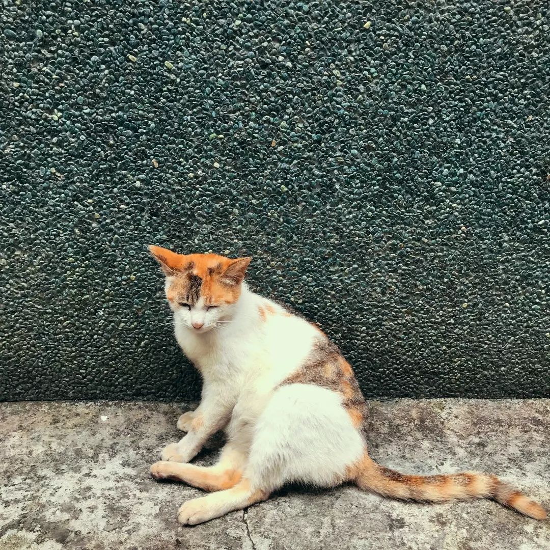 走完宜兰，那麼我们就继续向北出发啦！