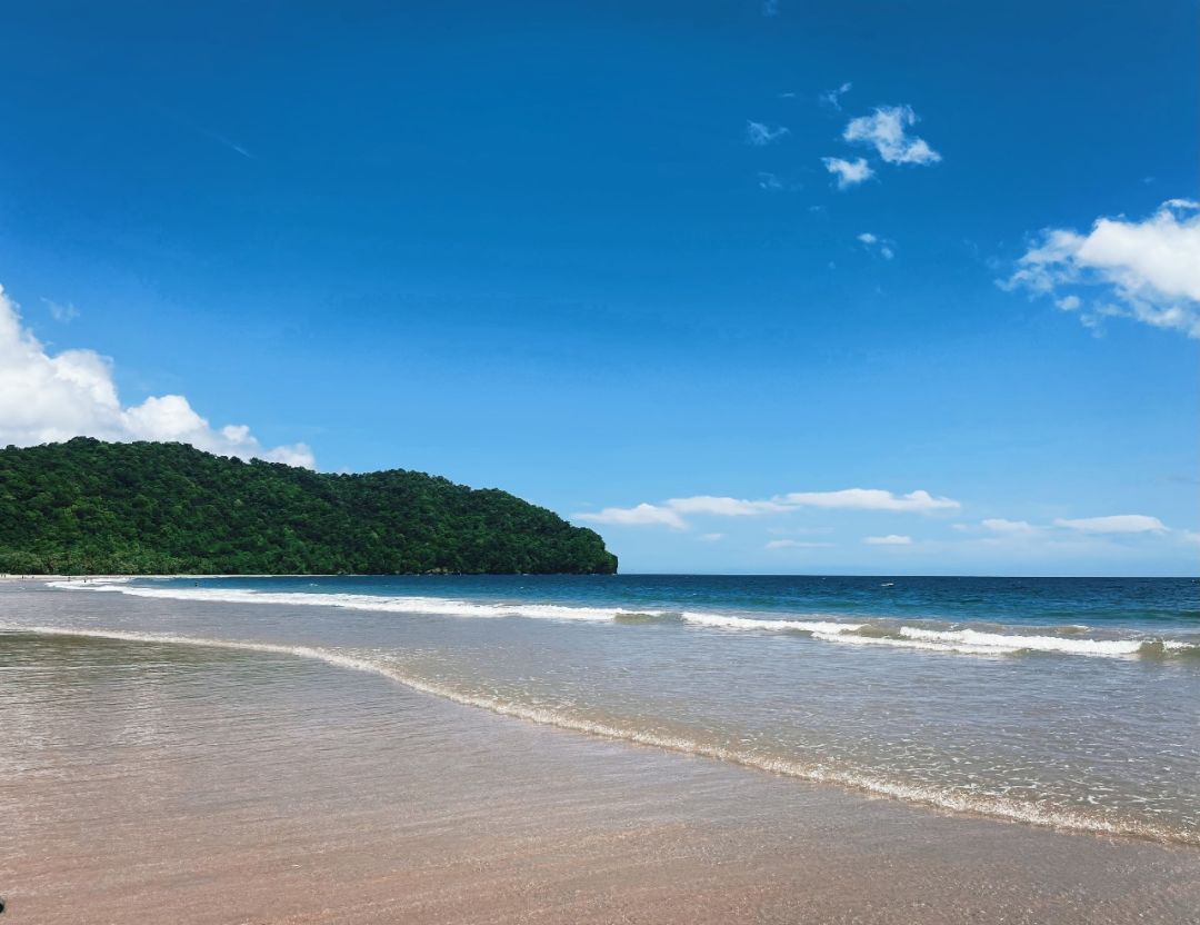 中专毕业找工作,中专毕业考博士