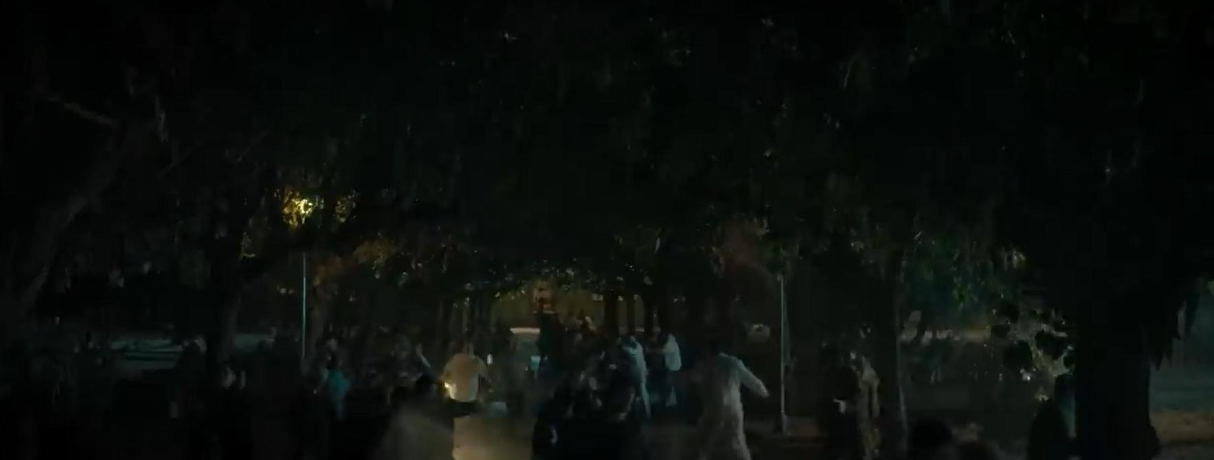 女子精神病院被人带走,女子精神病院电影