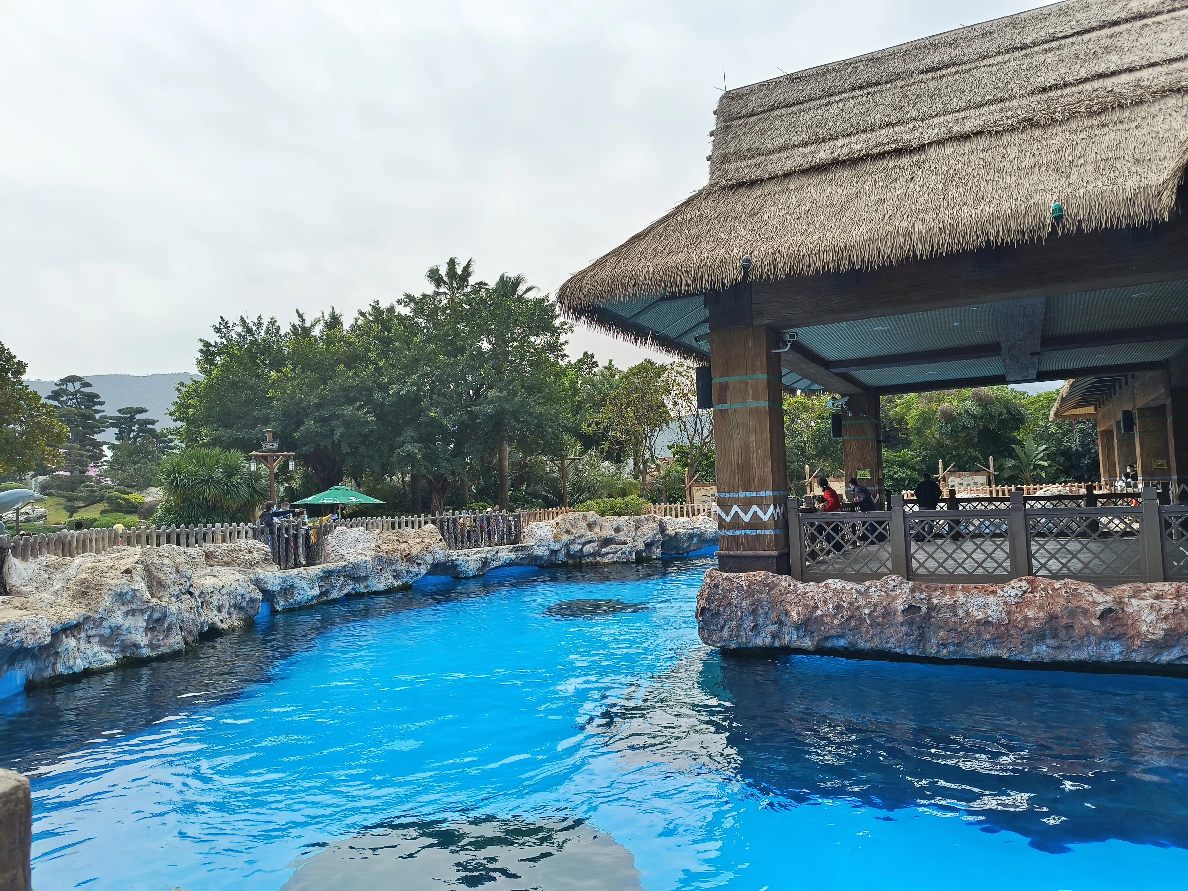 珠海长隆游记一日游,自驾珠海长隆三天两晚