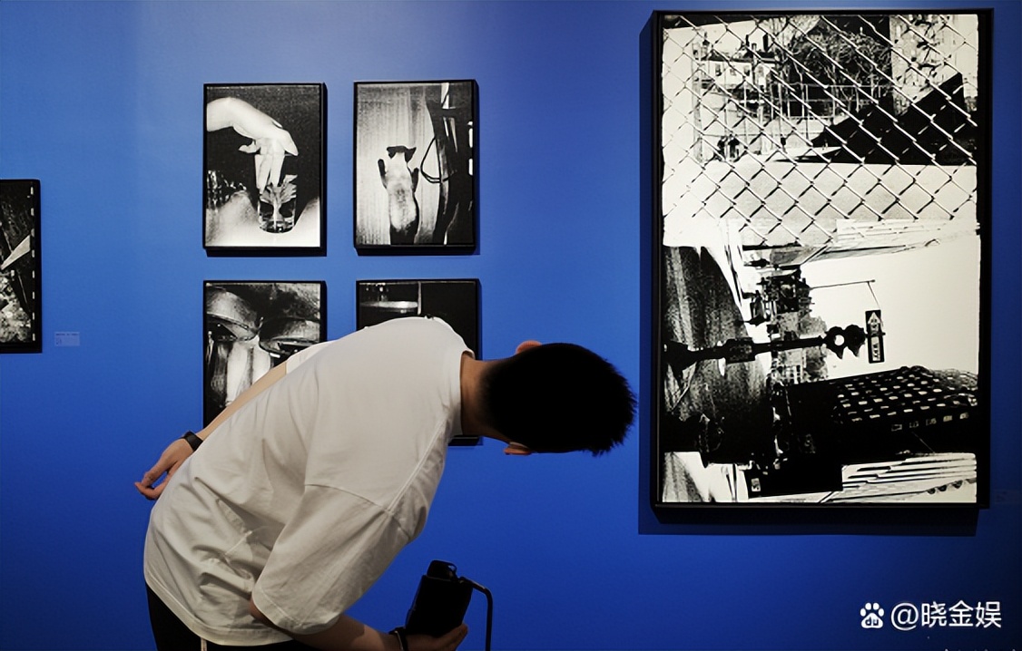 严於信：春节补休到福建，带着自己的哈士奇宠物狗尽享海边慢时光