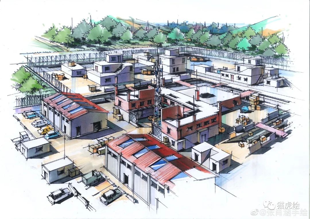 2022猫虎绘暑假手绘班招生简章「线上+线下」