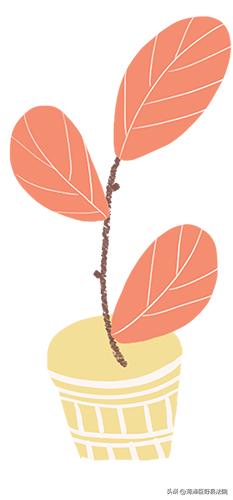 格式条款合同有法律效力吗,合同格式条款的认定规则