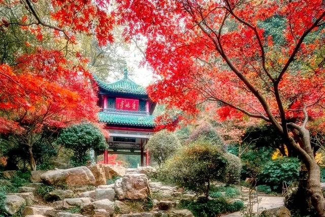 长沙必去景点天心区,长沙必去景点