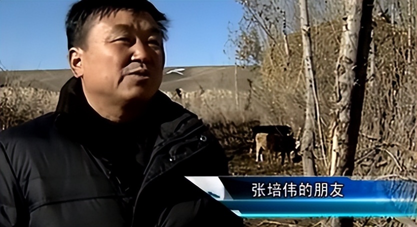 08年新疆牧民捡两只猫崽,中国男子捡到一只奶猫