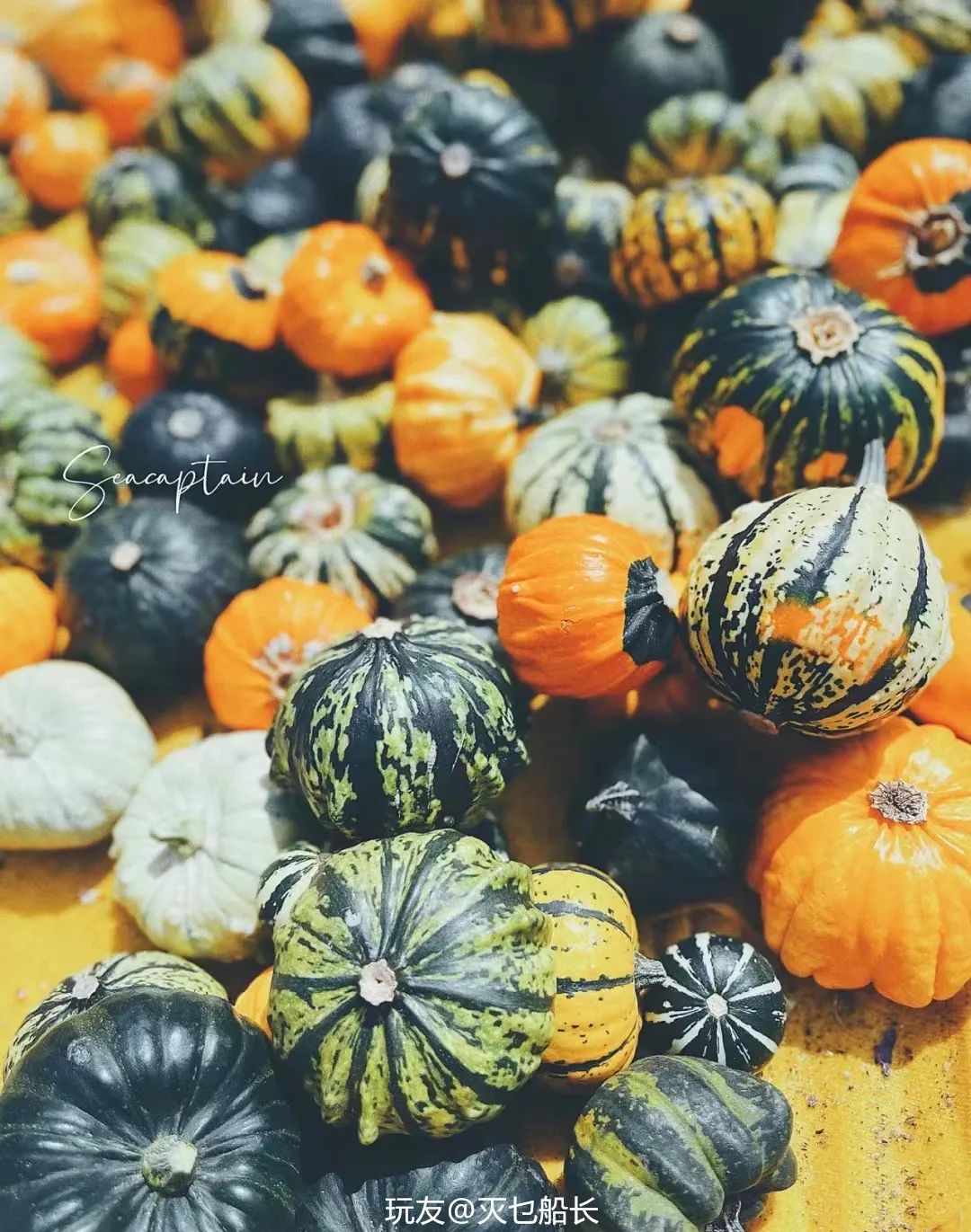 葫芦案真实案件,葫芦案事件始末