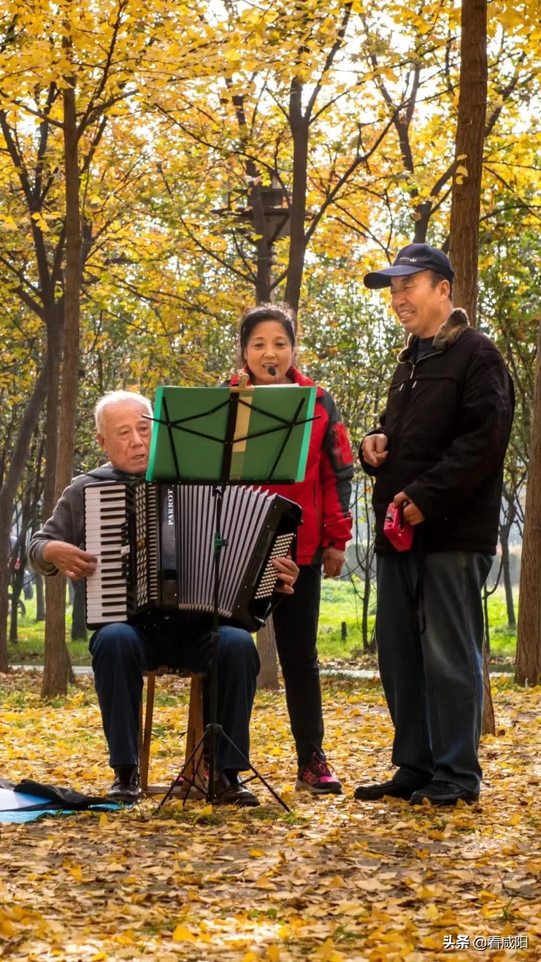 咸阳湖的景色越来越美,春天咸阳湖美景图片高清