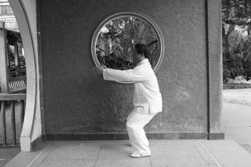 意拳站桩和太极拳站桩的区别,深度细讲太极拳站桩功法