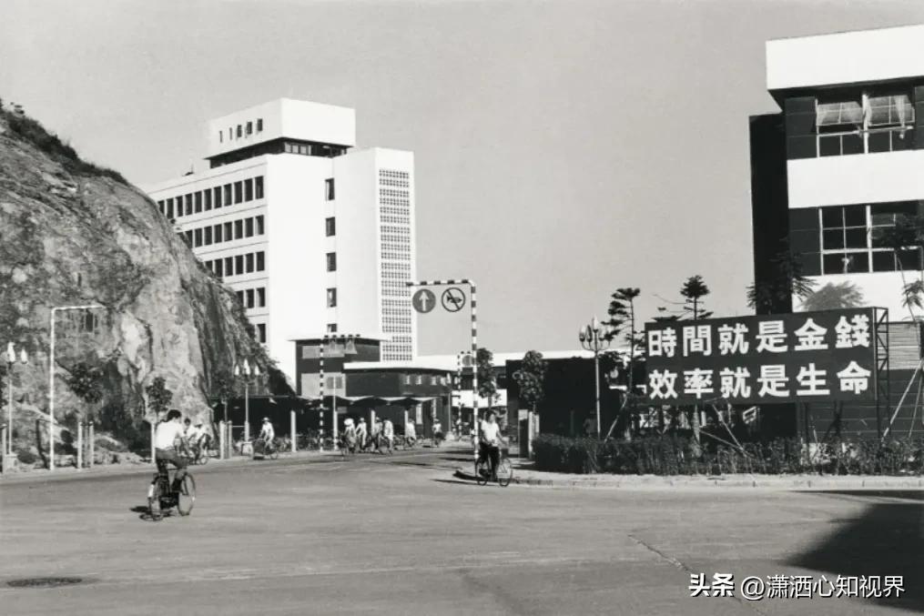 为什么能在一个公司坚持十几年,为何一个人能在一个行业坚持10年