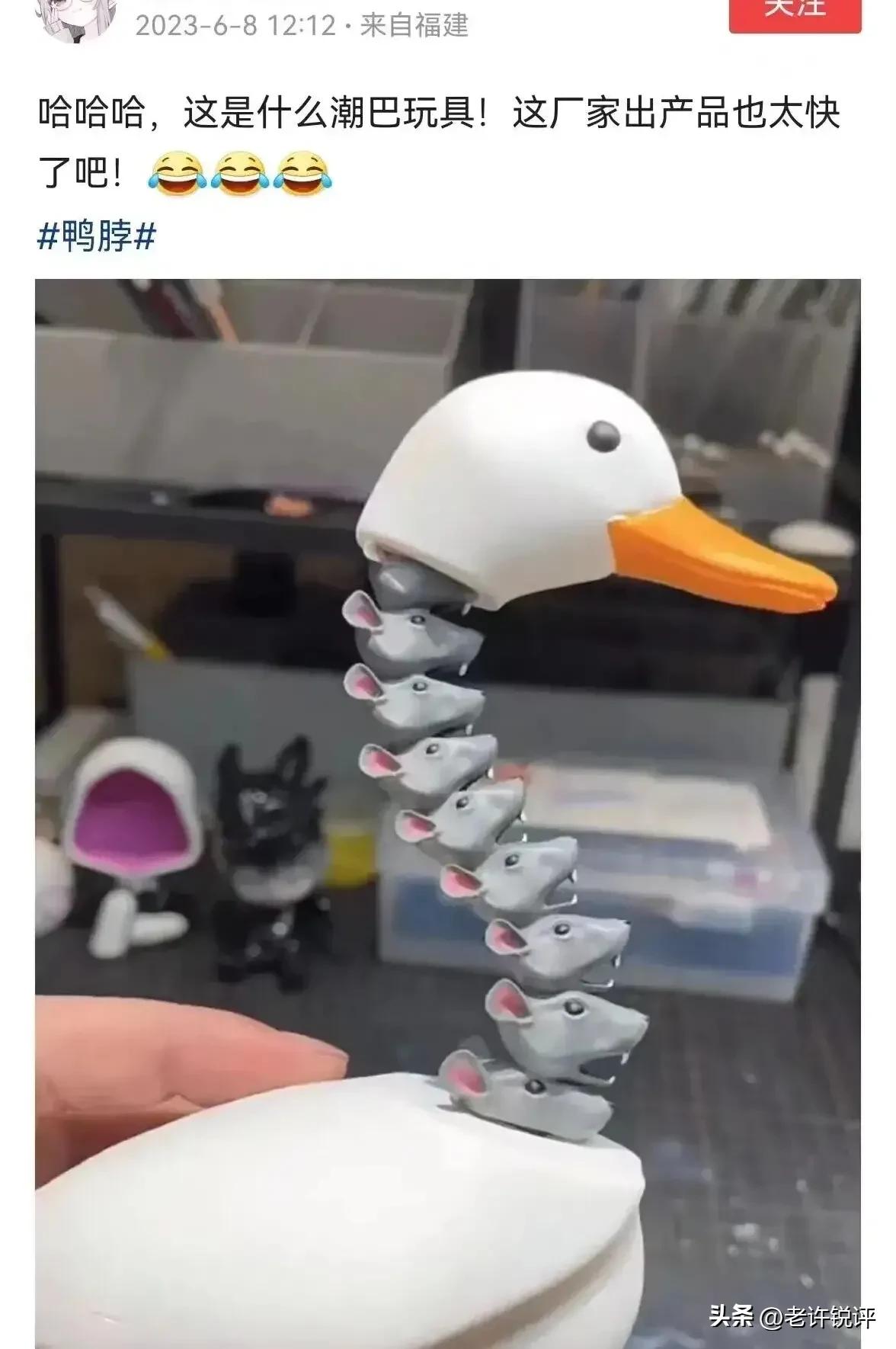 江西发布严查追责,江西省严查追责