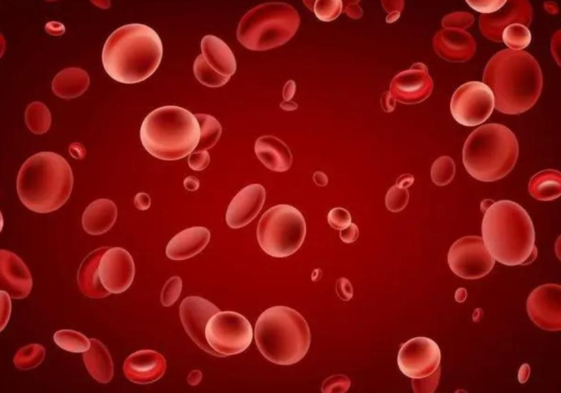 血常规中嗜酸性粒细胞升高要警惕,血热做血常规什么指标会升高