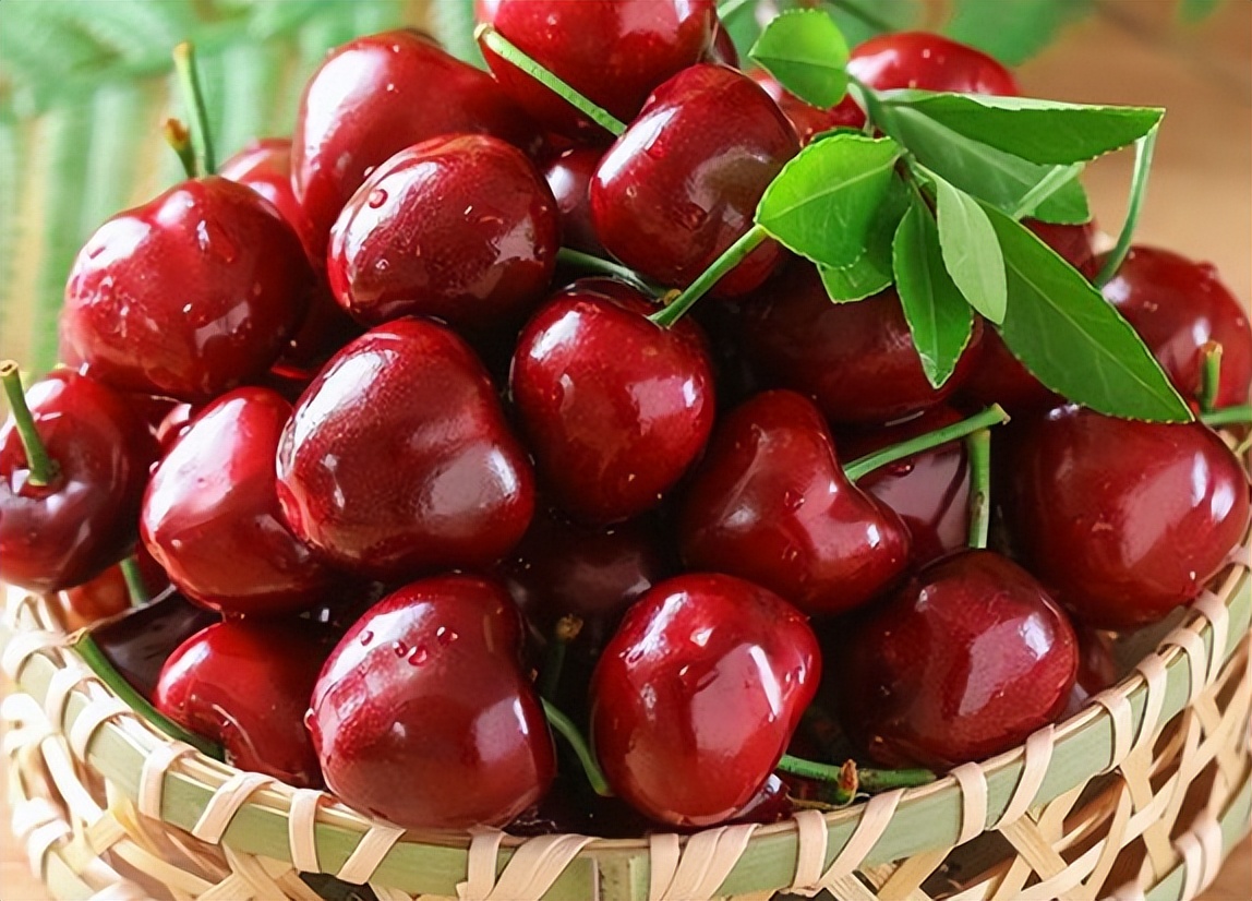 车厘子进口代理商,车厘子报关价格