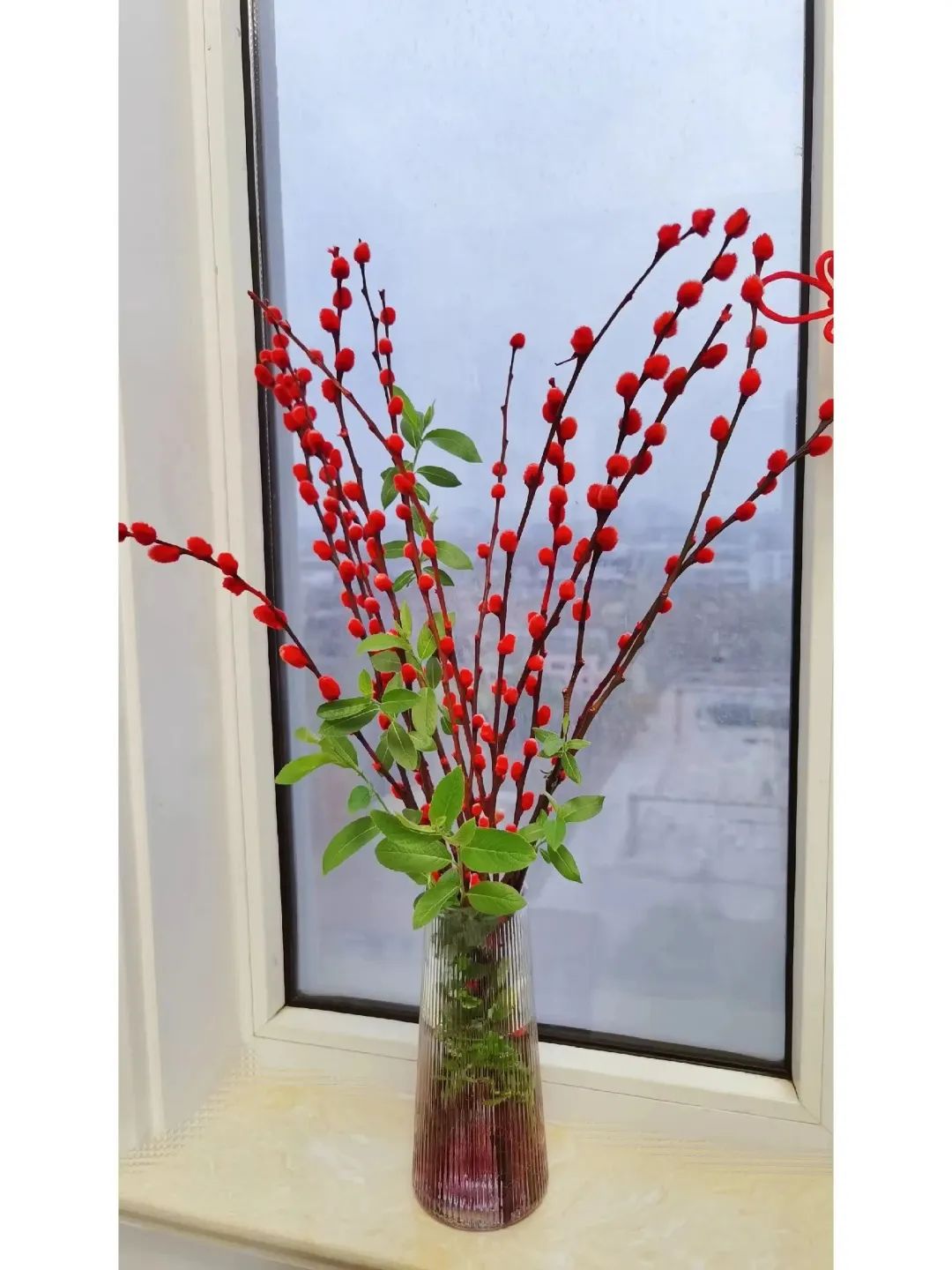 家庭招财植物摆放禁忌,家里适合摆放什么招财的植物