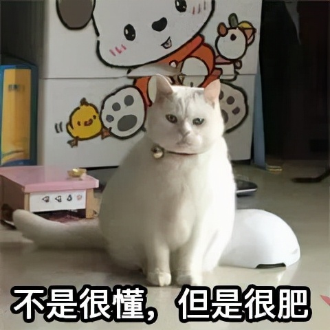 减肥小基数96斤怎么就不好减了,3个月我瘦了25斤小基数减肥心得