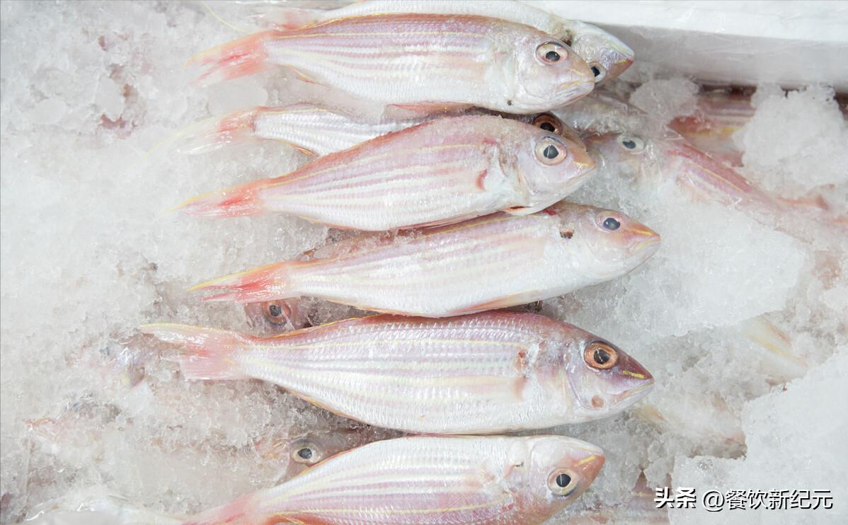 买鱼时这四种鱼切记不要买,十种野生鱼不能养殖