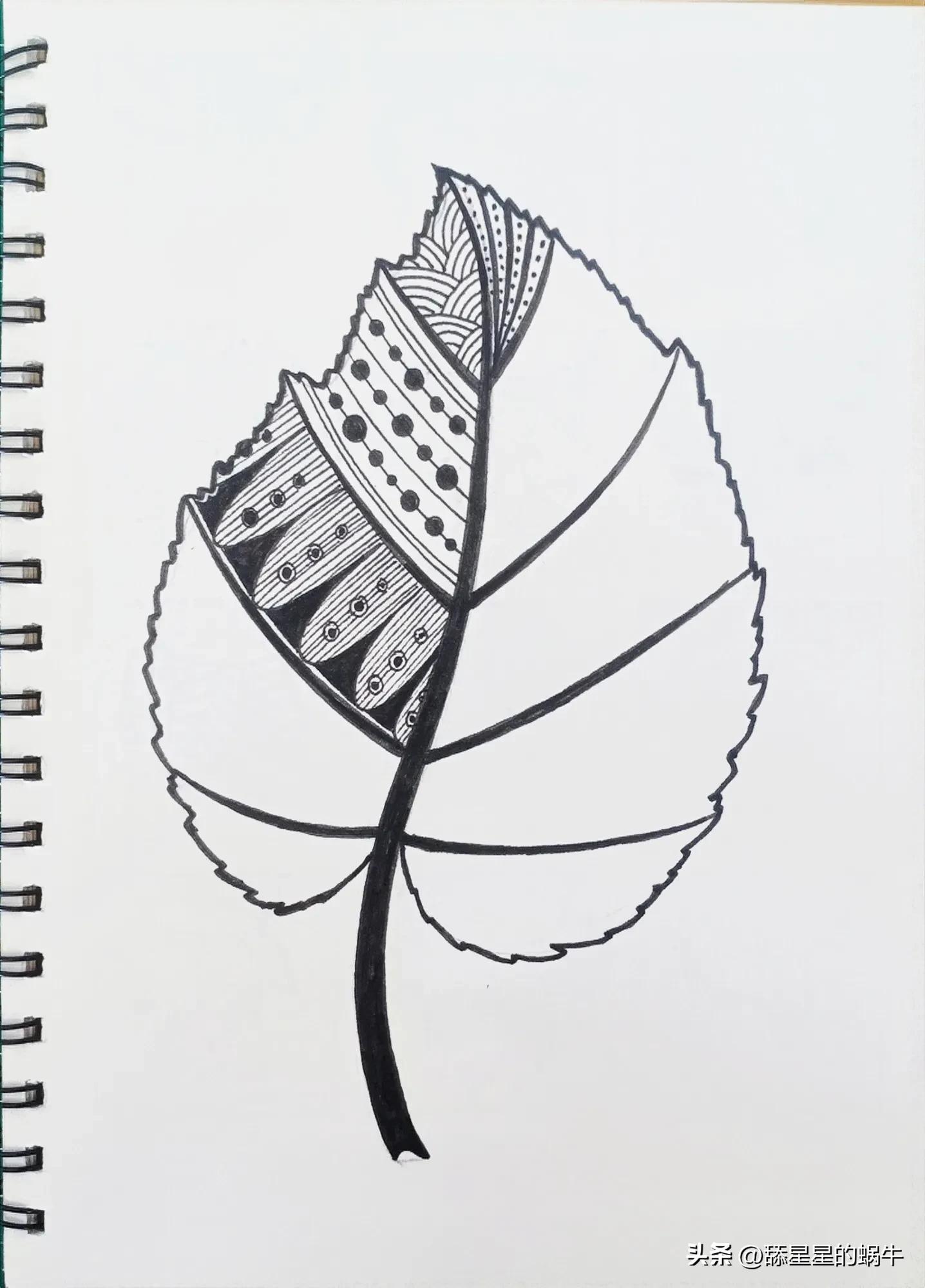 树叶黑白线描画简单花纹,点线面的树叶创意线描