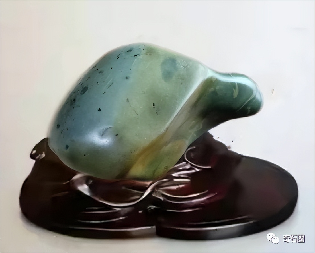 龟形奇石图片大全,获奖奇石龟图片大全