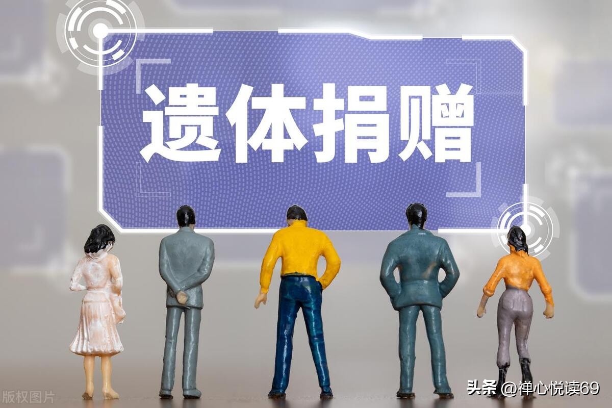 职业不分高低贵贱视频,职业不分高低每一种都值得被尊重