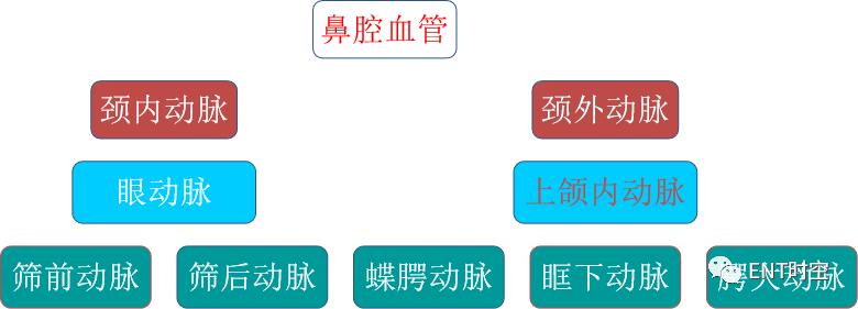 引起鼻出血的病因有哪些,鼻出血病因及诊断治疗方法推荐