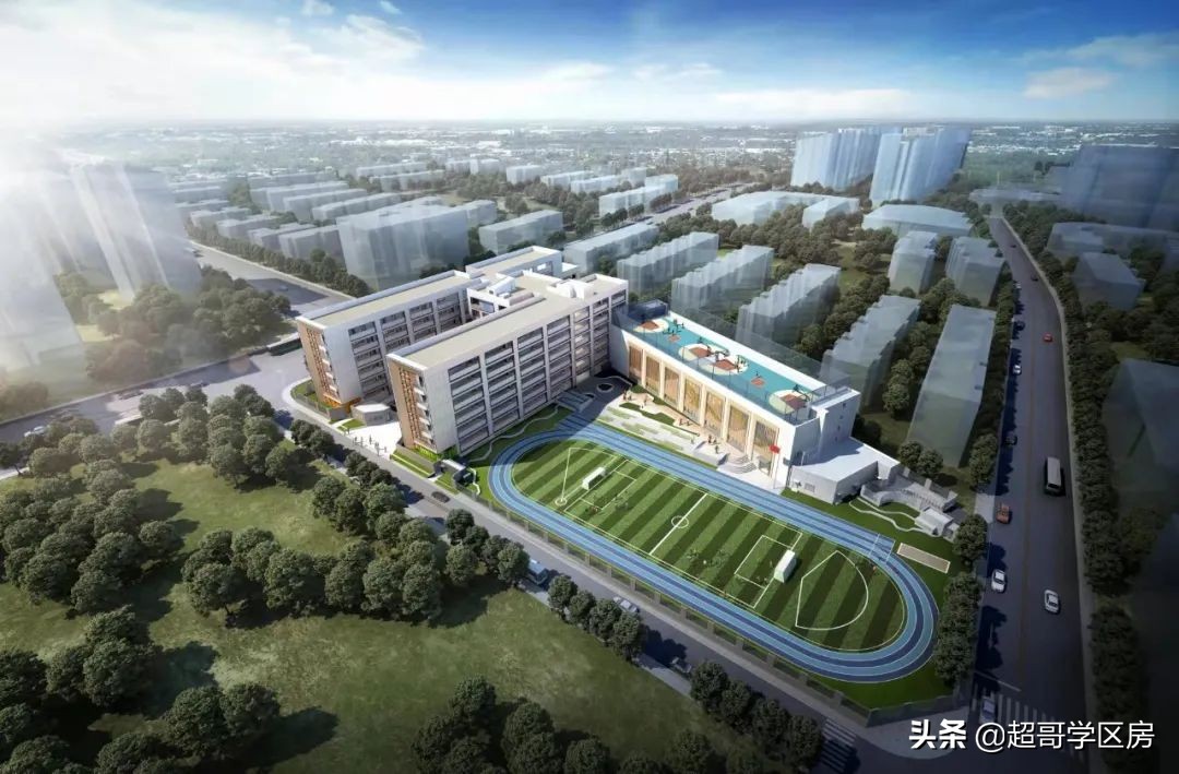 厦门小学划片区有哪些学校,厦门取消哪几所小学校