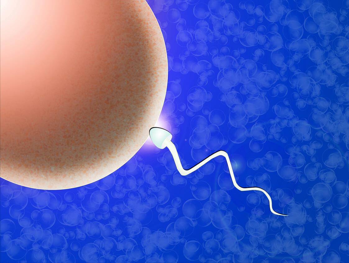 人工生殖成功率,人工生殖技术是什么意思